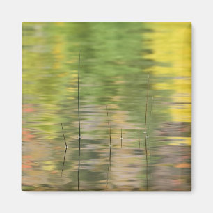 USA, New York, Adirondacks, Spiegelungen im Wasser Magnet