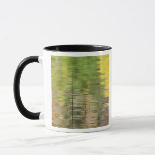 USA, New York, Adirondacks, Spiegelungen im Wasser Tasse