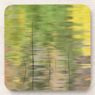 USA, New York, Adirondacks, Spiegelungen im Wasser Untersetzer