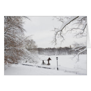 USA, New York City, Central Park im Winter