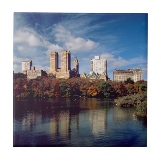 USA, New York City, Central Park, Lake Fliese (Vorderseite)