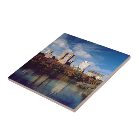 USA, New York City, Central Park, Lake Fliese (Seite)