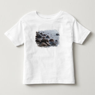 USA, New York, East Hampton. Brandung bei Kleinkind T-shirt