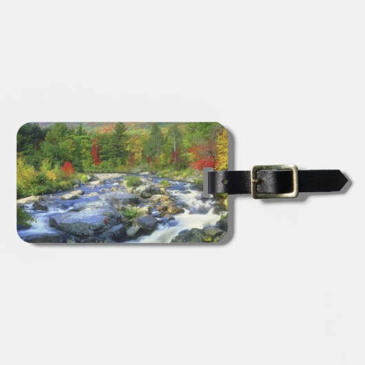 USA, New York. Ein Wasserfall im Adirondack Gepäckanhänger (Vorderseite horizontal)