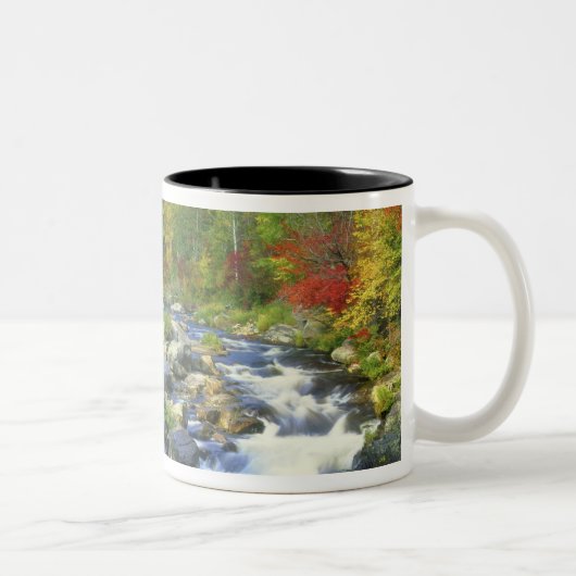 USA, New York. Ein Wasserfall im Adirondack Zweifarbige Tasse (Rechts)