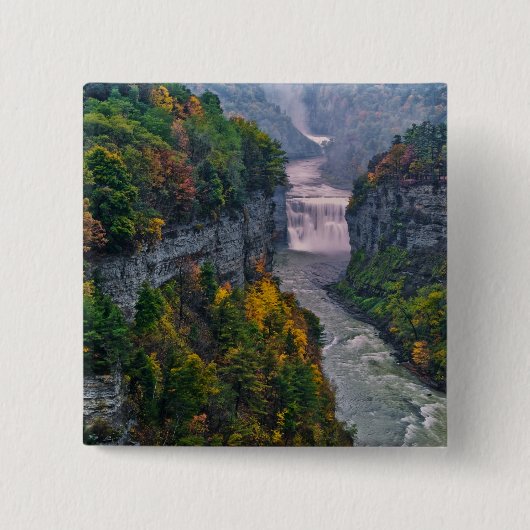 USA, New York, Letchworth Staat Park. Fluss und Button (Vorderseite)