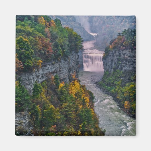 USA, New York, Letchworth Staat Park. Fluss und Magnet (Vorne)