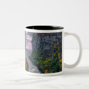 USA, New York, Letchworth Staat Park. Fluss und Zweifarbige Tasse