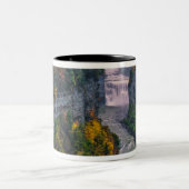 USA, New York, Letchworth Staat Park. Fluss und Zweifarbige Tasse (Mittel)