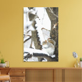 USA, New York, New York City, Eichhörnchen sitzen Leinwanddruck (Insitu (Wohnzimmer))