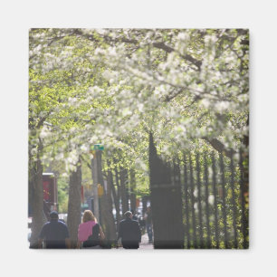 USA, New York, New York City, Manhattan: 8 Magnet
