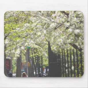 USA, New York, New York City, Manhattan:8 Mousepad