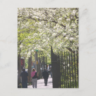 USA, New York, New York City, Manhattan: 8 Postkarte