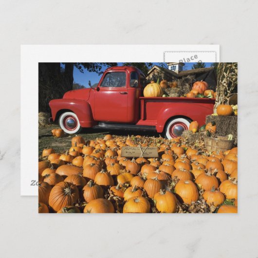 USA, New York, Peconic, Kürbisfarm mit Lieferwagen Postkarte (Vorne/Hinten)