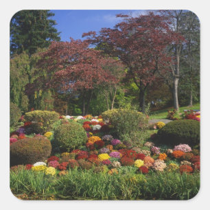 USA, New York, Saugerties, Seamon Park.Herbst Quadratischer Aufkleber