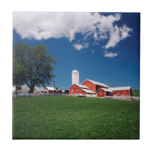USA, New York, Sharon Springs, Bauernhof Fliese