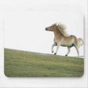 USA, New York Staat, Hudson, Pferde, die in 2 Mousepad