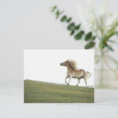 USA, New York Staat, Hudson, Pferde, die in 2 Postkarte (Stehend Vorderseite)