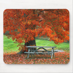 USA, New York, West Park. Bank unter Ahorn Mousepad