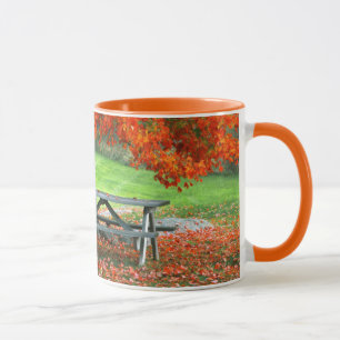 USA, New York, West Park. Bank unter Ahorn Tasse