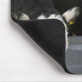 USA, New Yorker Staat, Kühe, die aus gefrorenem Fl Mousepad (Ecke)