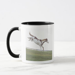 USA, New- YorkStaat, der Hudson, Pferd, das herein Tasse