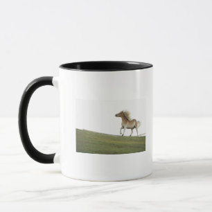 USA, New- YorkStaat, der Hudson, Pferd, das in 2 Tasse