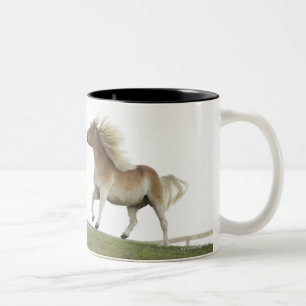 USA, New- YorkStaat, der Hudson, Pferd, das in 2 Zweifarbige Tasse