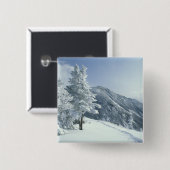 USA, NH, Schneebedeckte Baumwege Snoeshoe Button (Vorne & Hinten)