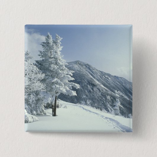 USA, NH, Schneebedeckte Baumwege Snoeshoe Button (Vorderseite)