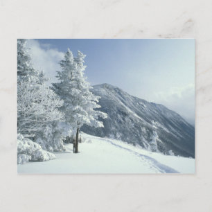 USA, NH, Schneebedeckte Baumwege Snoeshoe Postkarte