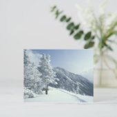 USA, NH, Schneebedeckte Baumwege Snoeshoe Postkarte (Stehend Vorderseite)
