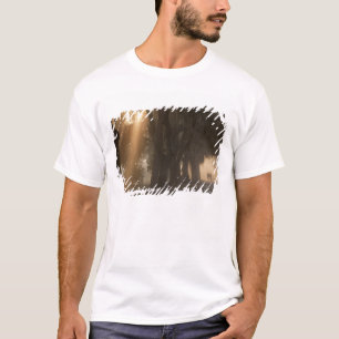 USA; Nordamerika; Georgia; Savannah. Jungen T-Shirt