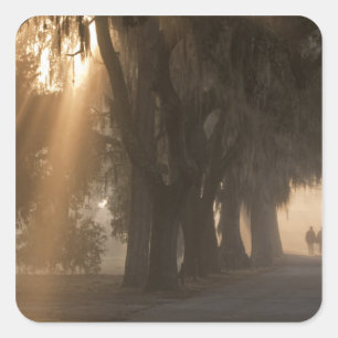 USA; Nordamerika; Georgien; Savannah. Jungen Quadratischer Aufkleber