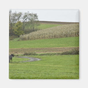USA, Nordost-Ohio. Amish-Buggy auf Bauernhof Magnet