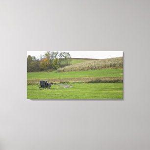 USA, Nordost-Ohio. Amish-Buggy im Betrieb Leinwanddruck