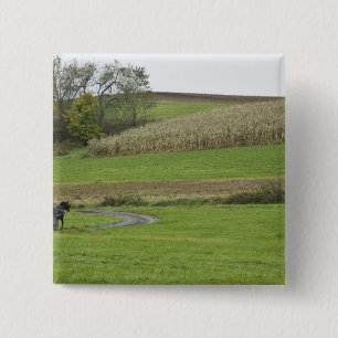 USA, Nordost-Ohio. Amish-Kutsche auf Bauernhof Button