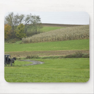 USA, Nordost-Ohio. Amish-Kutsche auf Bauernhof Mousepad