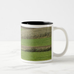 USA, Nordost-Ohio. Amish-Kutsche auf Bauernhof Zweifarbige Tasse