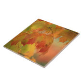 USA, Nordosten, Ahorn in Regen. Kredit als: Fliese (Seite)