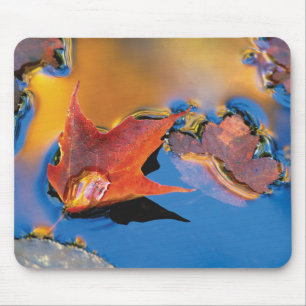 USA, Nordosten, Ahornblatt in Reflexion Mousepad