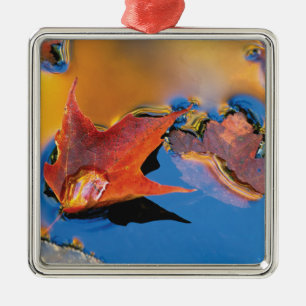 USA, Nordosten, Ahornleaf in Reflektion Silbernes Ornament