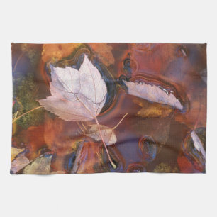 USA, Nordosten, Herbstlaub in Pfütze mit Geschirrtuch