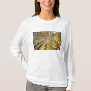 USA, Nordwestpazifik. Aspenbäume im Herbst T-Shirt