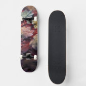 USA, Nordwestpazifik. Blätter aus japanischem Ahor Skateboard (Vorderseite)