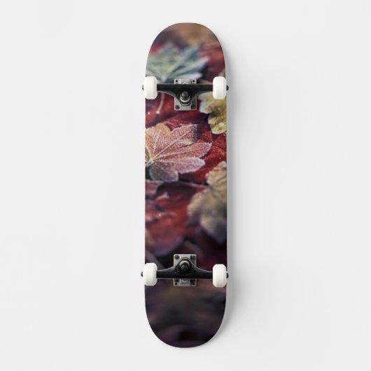 USA, Nordwestpazifik. Blätter aus japanischem Ahor Skateboard (Vorderseite)