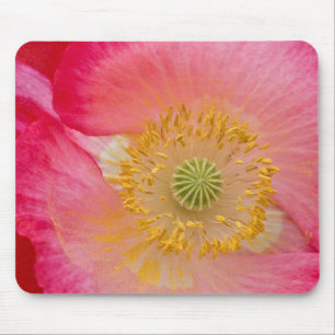 USA, North Carolina. Nahaufnahme des Mohninneren Mousepad