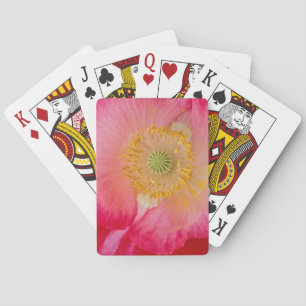 USA, North Carolina. Nahaufnahme des Mohninneren Spielkarten