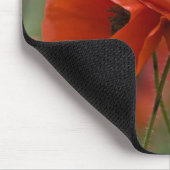 USA, North Carolina. Zwei rote Pfeffer Mousepad (Ecke)
