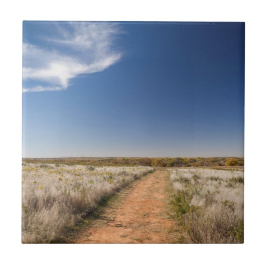 USA, Oklahoma, Black Kettle National Grasslands Fliese (Vorderseite)